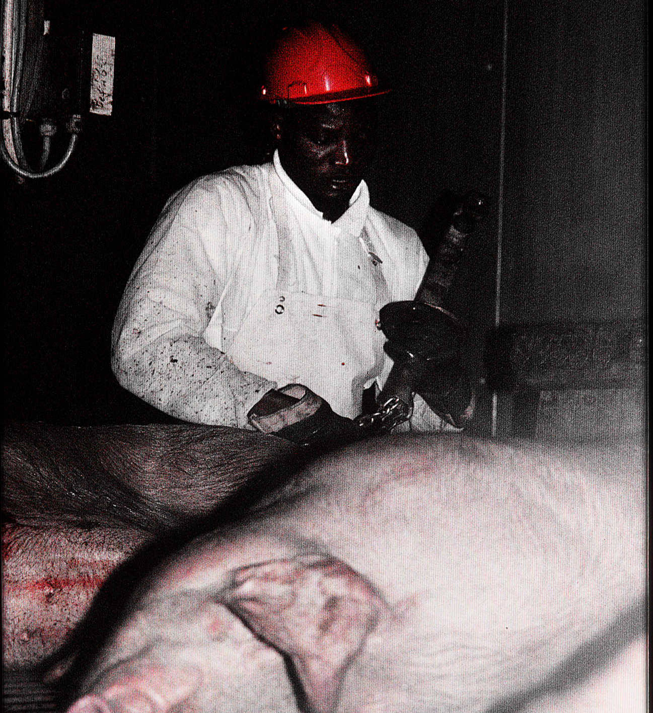 Photo abattoir 8